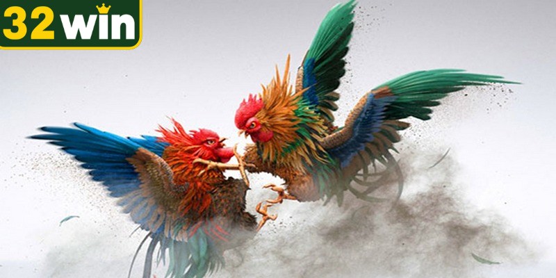 Luật chung và các cửa cược khi tham gia đá gà online